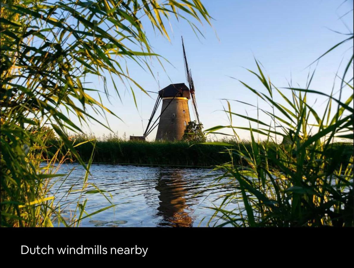 Tiny House With Sauna & Jacuzzi Near Amsterdam Vijfhuizen Zewnętrze zdjęcie